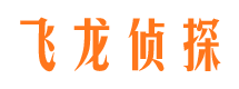 阳城调查公司